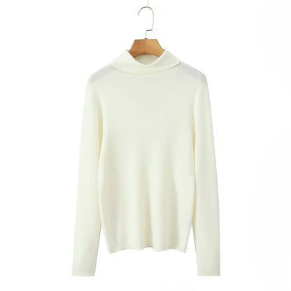 Plus Size Turtleneck Sweater Fine-Needle Knit Slim Pullover for Women Autumn Winter